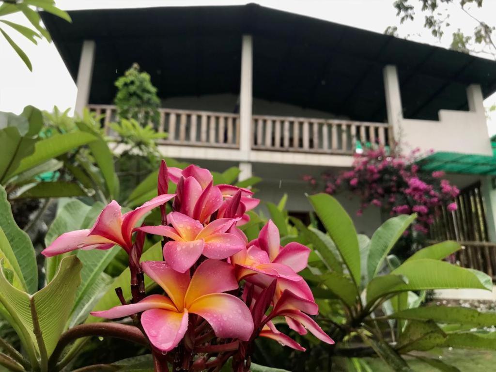 Hotel Quinta El Mamey Río Verde Exteriér fotografie